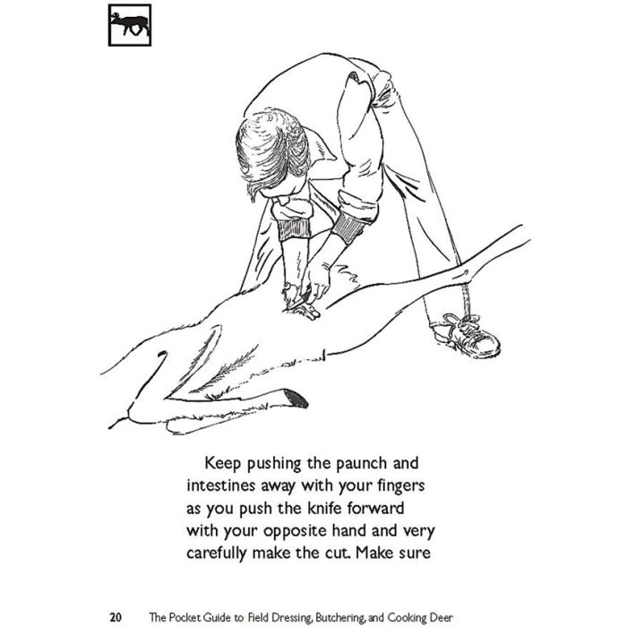 The Pocket Guide to Field Dressing, Butchering, and Cooking Deer