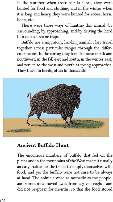 Survival Skills of the Native Americans