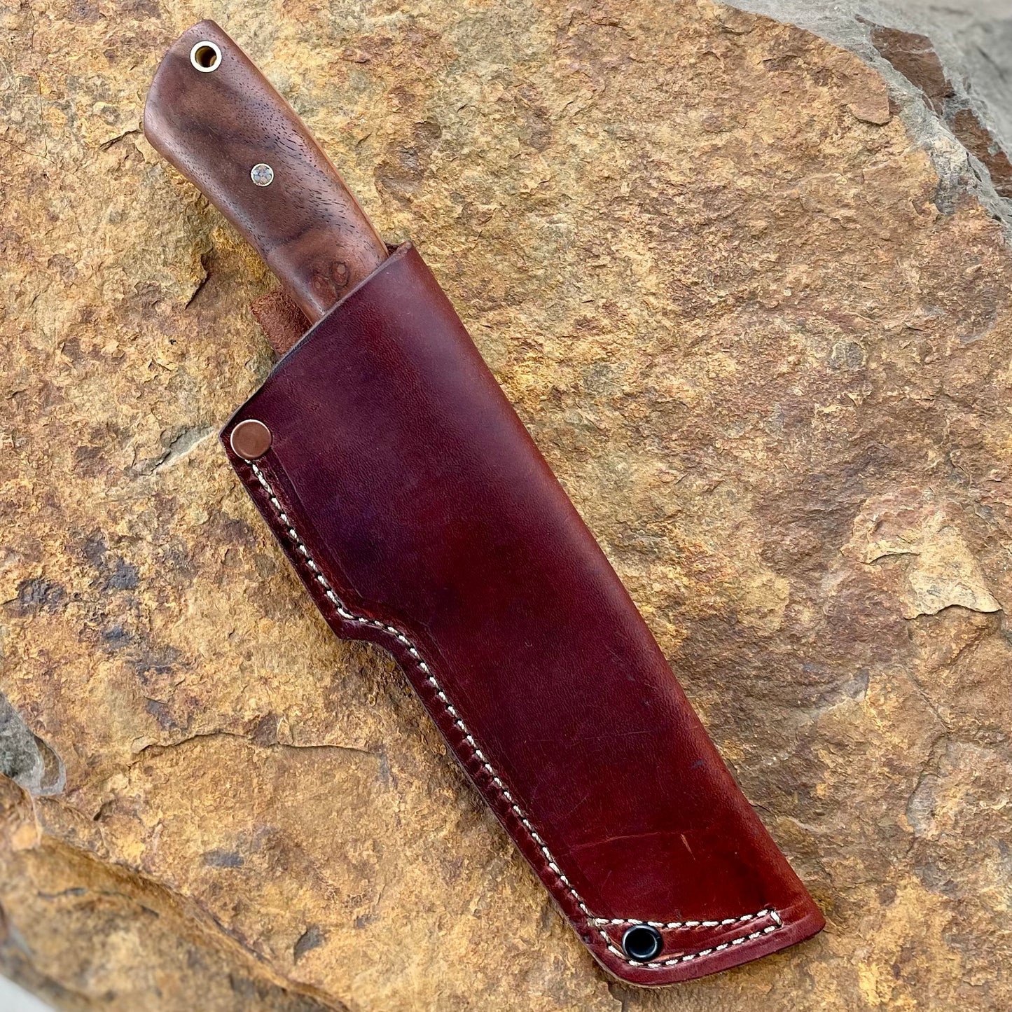 Vulture in AEB-L w/ Walnut