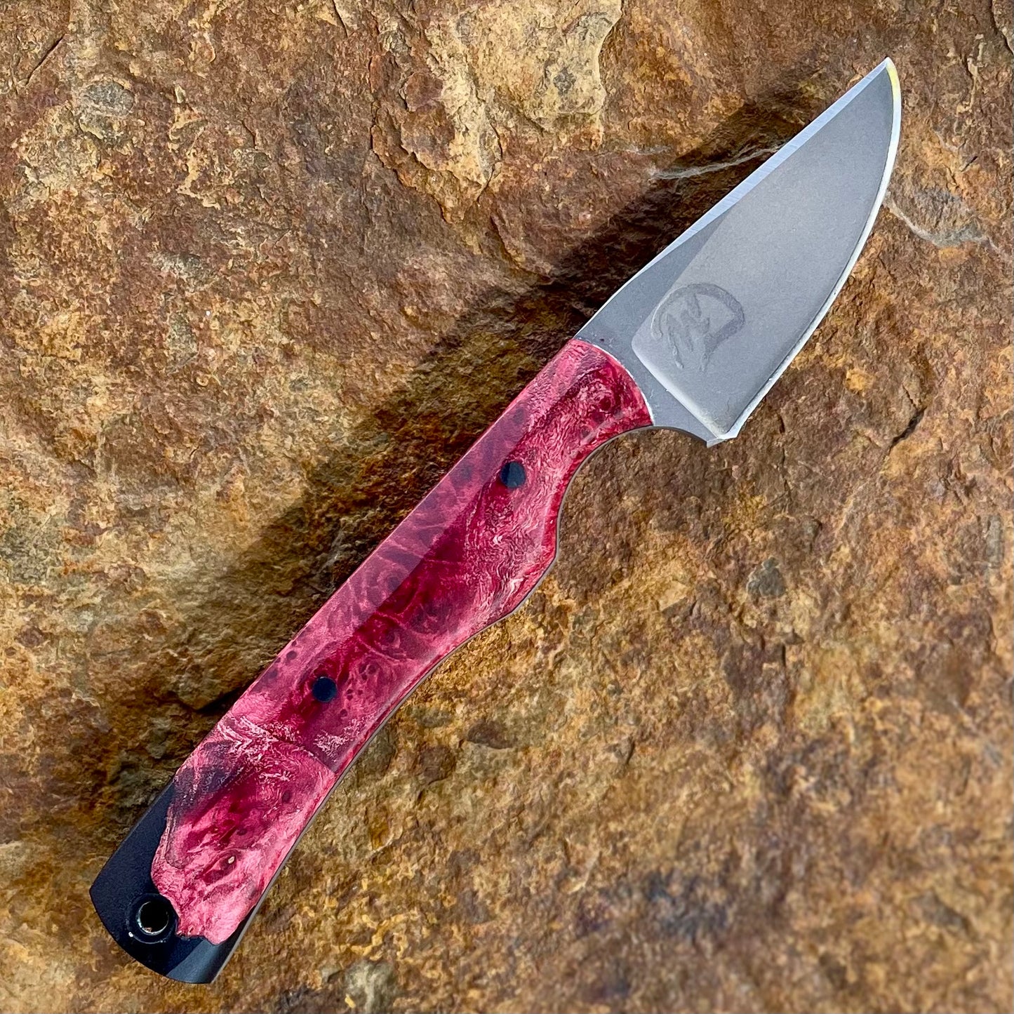 Mini Scalpel in AEB-L w/ Hybrid Red Maple Burl