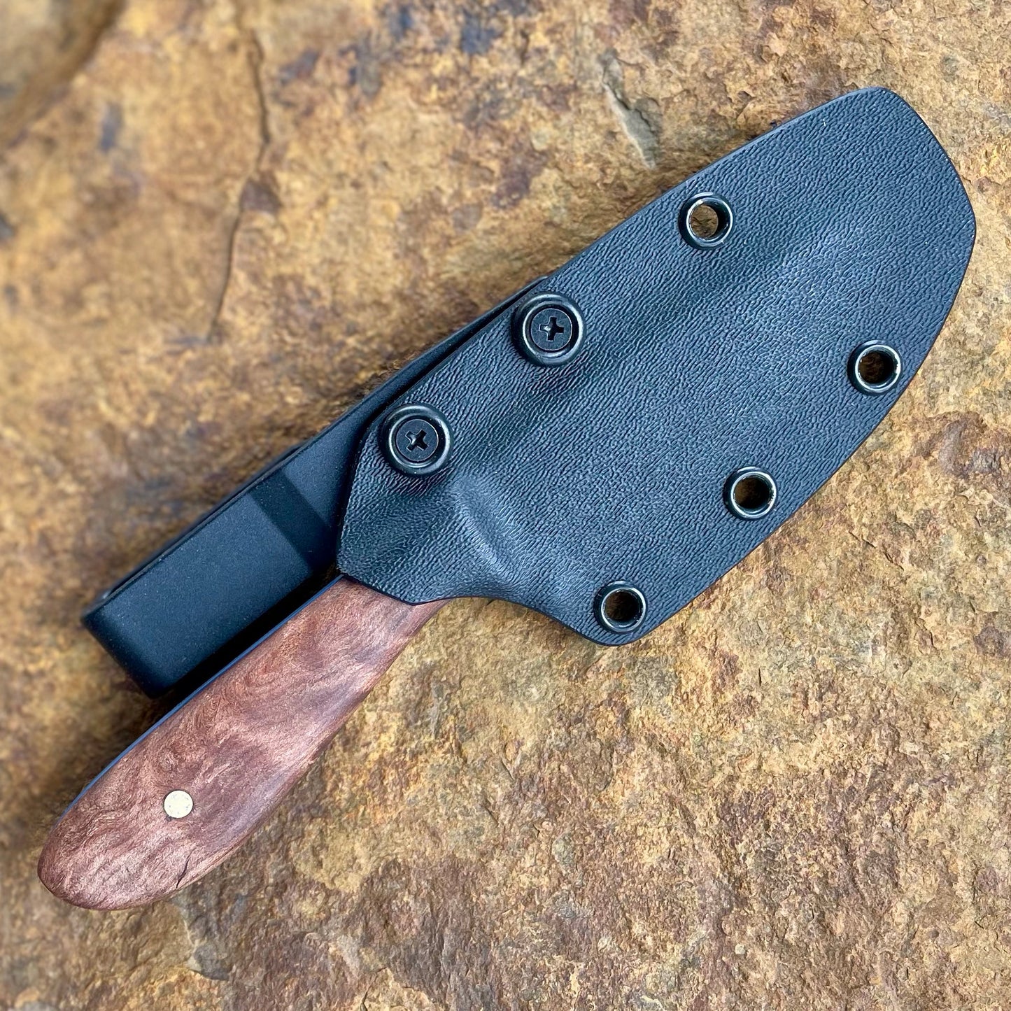 Vireo in AEB-L w/ Highly Figured Walnut