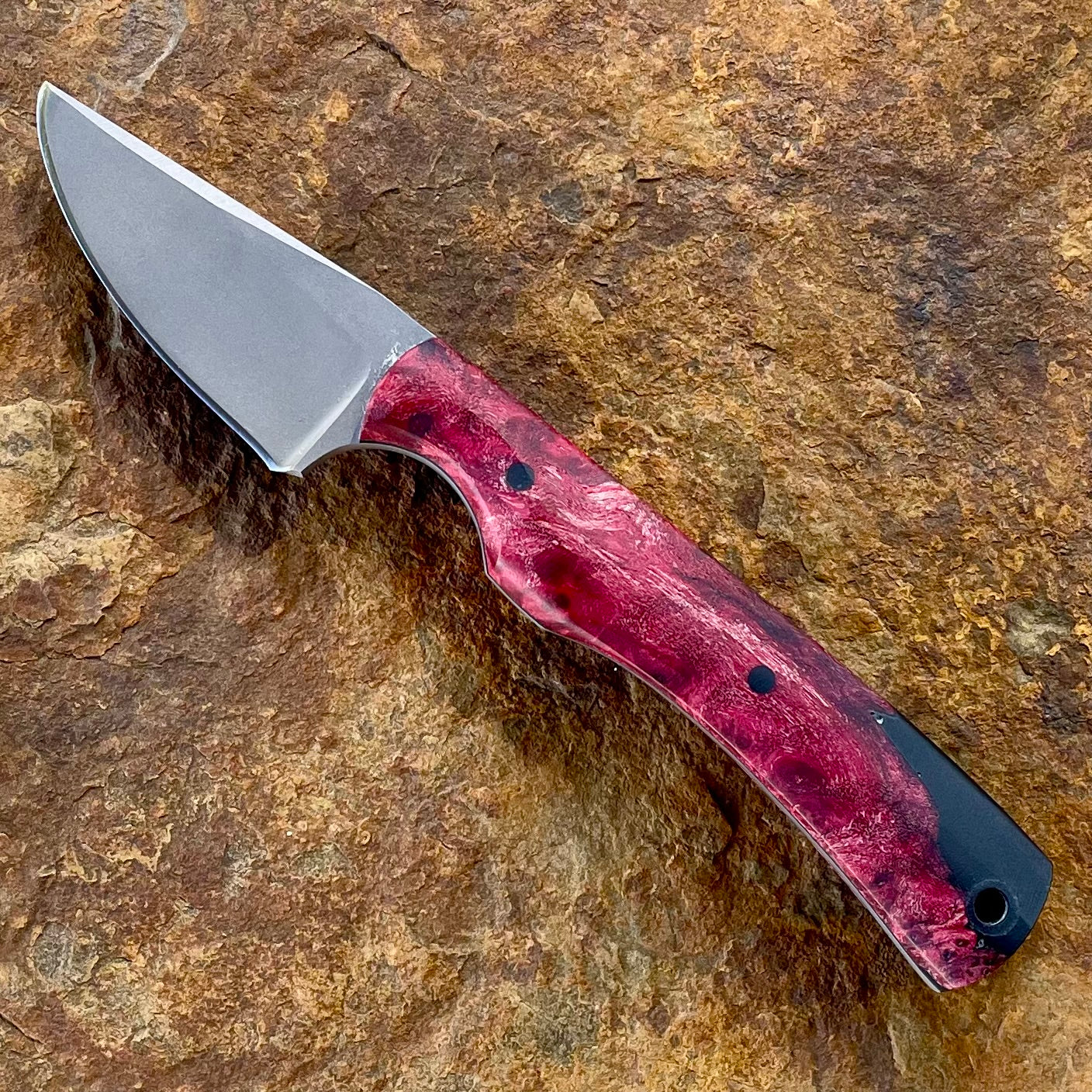 Mini Scalpel in AEB-L w/ Hybrid Red Maple Burl