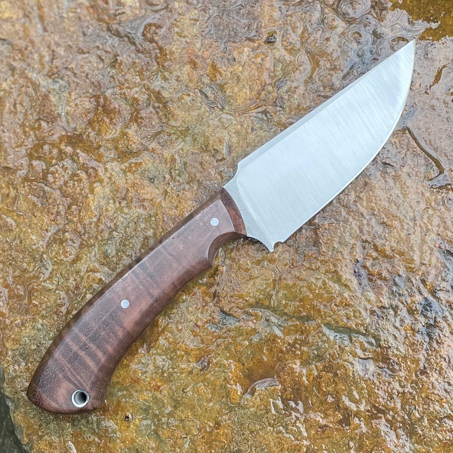 Hunter in CPM154 w/ Curly Walnut