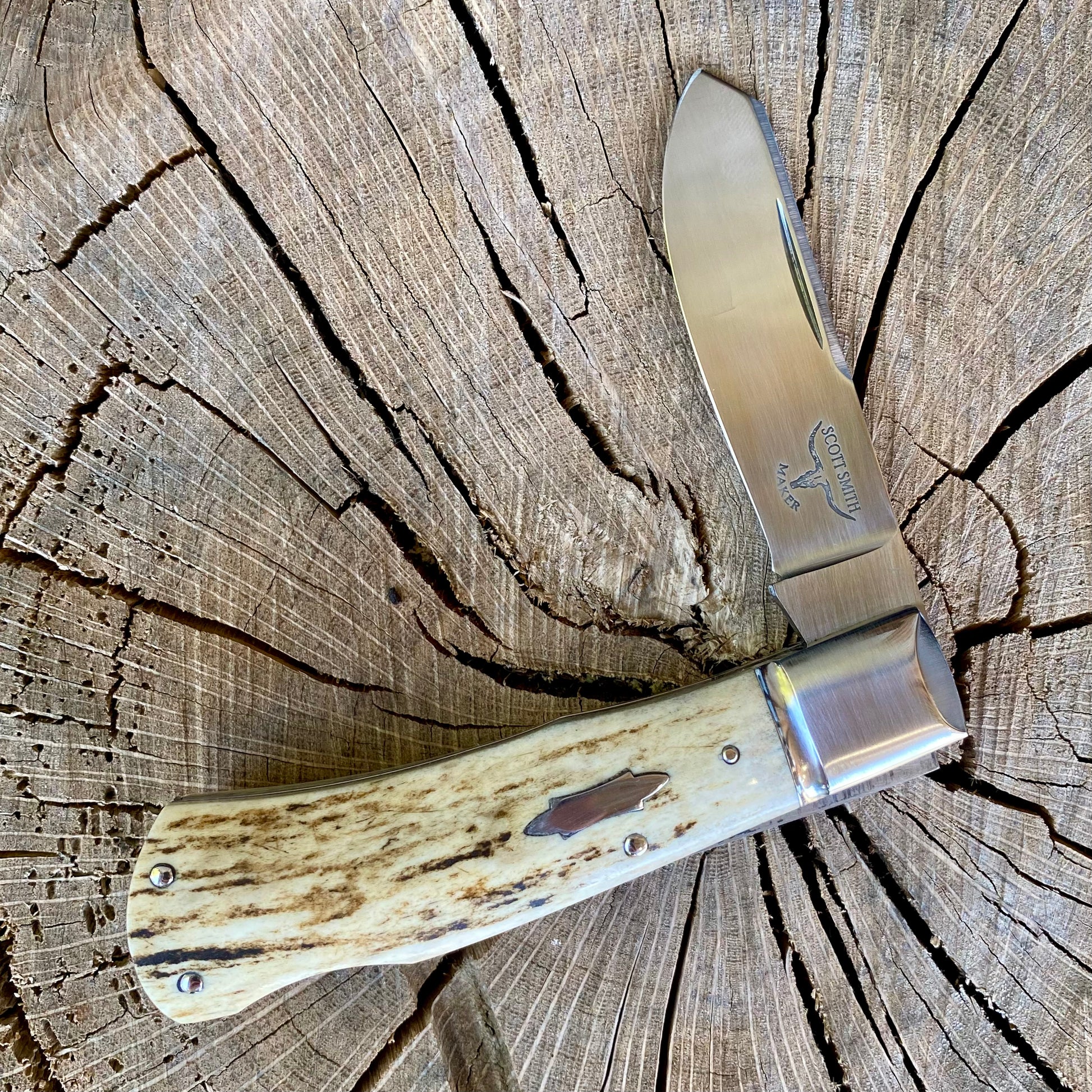 Folding Skinner/Nut Cutter in Elk Horn – Arkansas Knife Shop