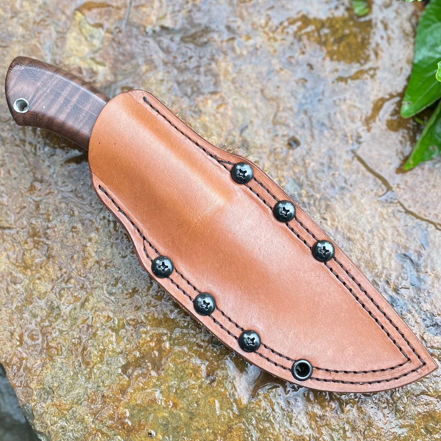 Hunter in CPM154 w/ Curly Walnut