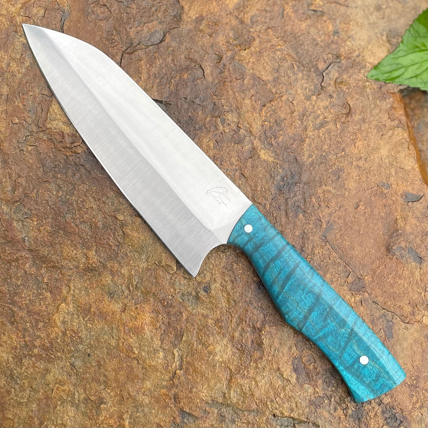 SL Petty Chef in AEB-L w/ Blue Curly Maple