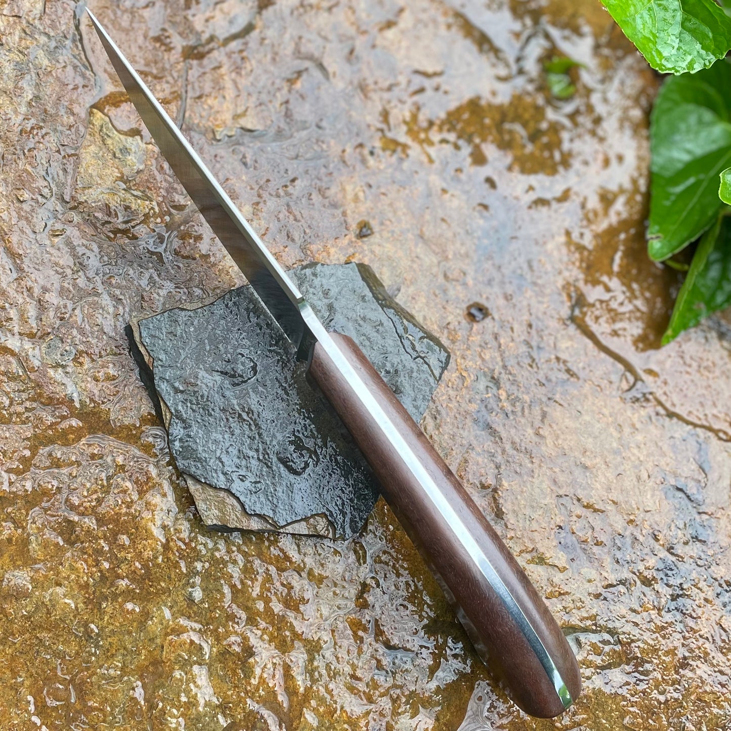 Hunter in CPM154 w/ Curly Walnut