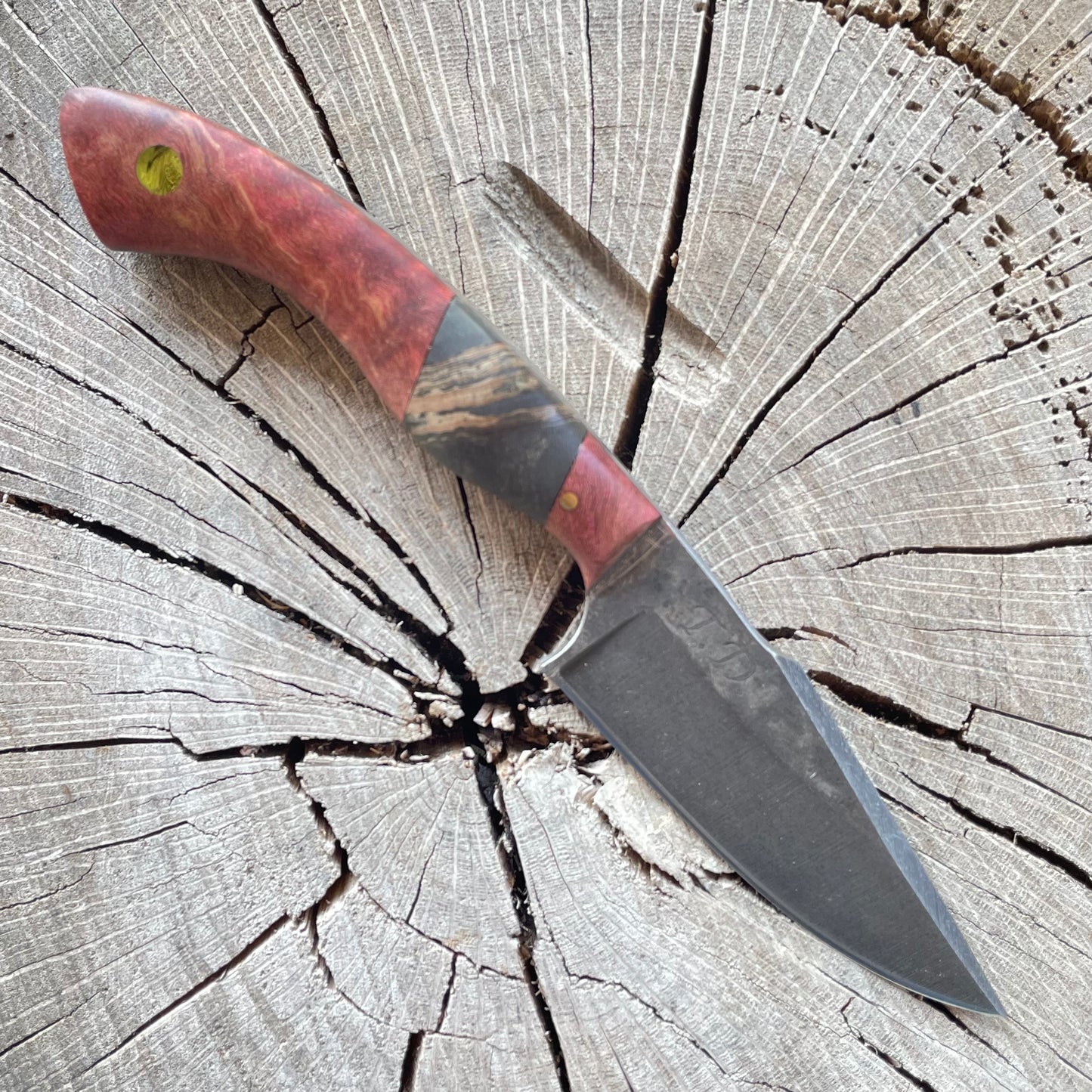 Ridgeback in 80CrV2 w/ Curly Maple