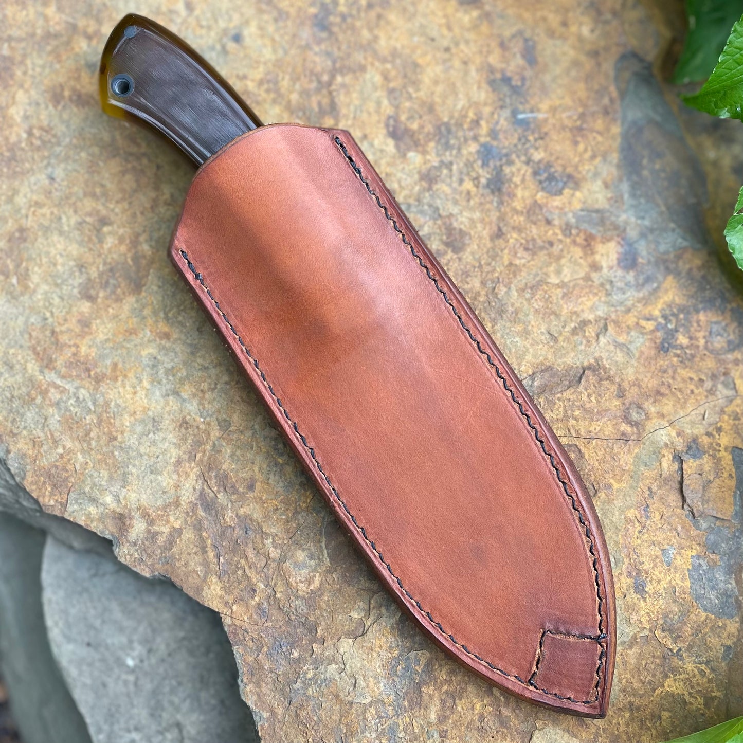 Hunter in CPM154 w/ Faux Turtle Shell