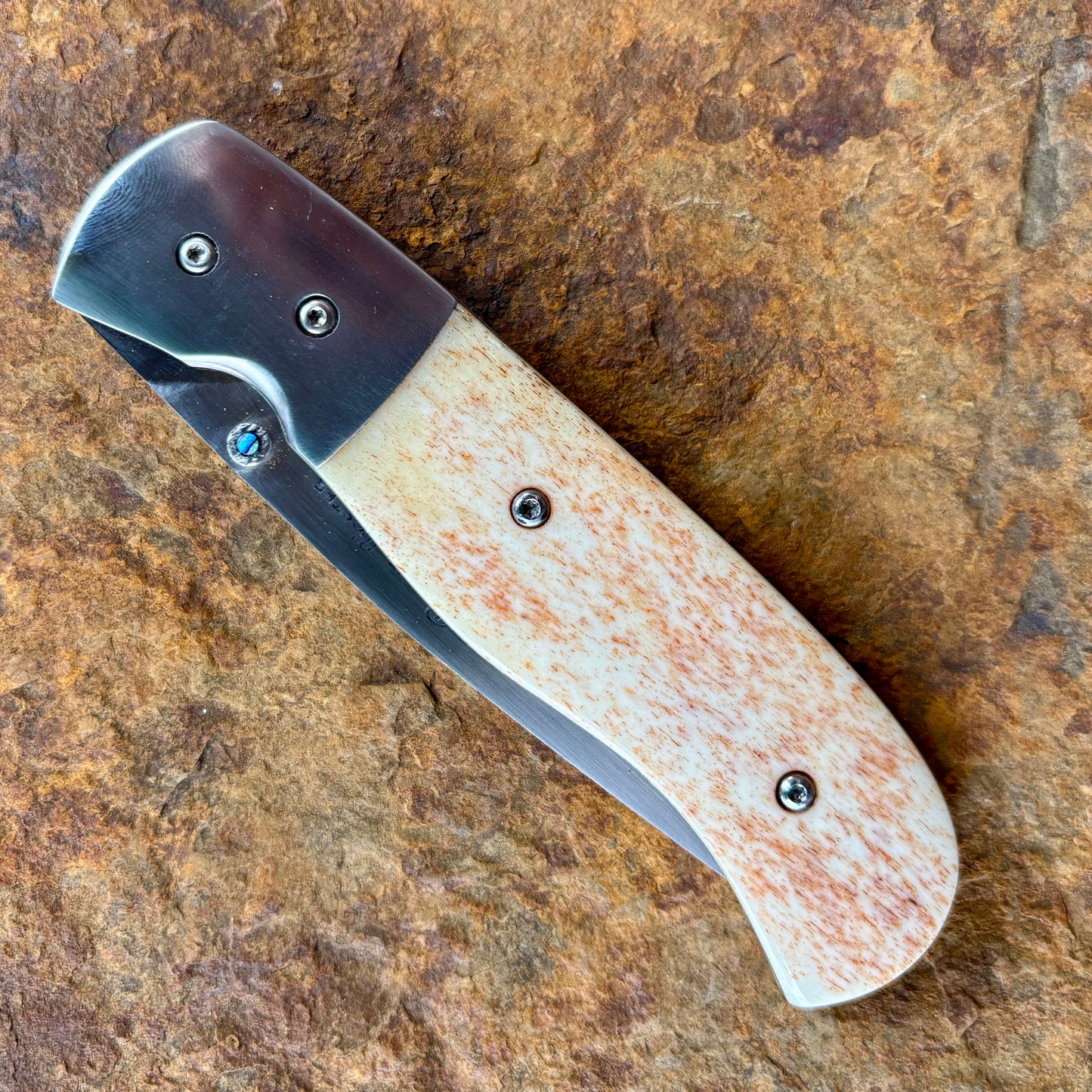 Folder Linerlock in 440C w/ Camel Bone