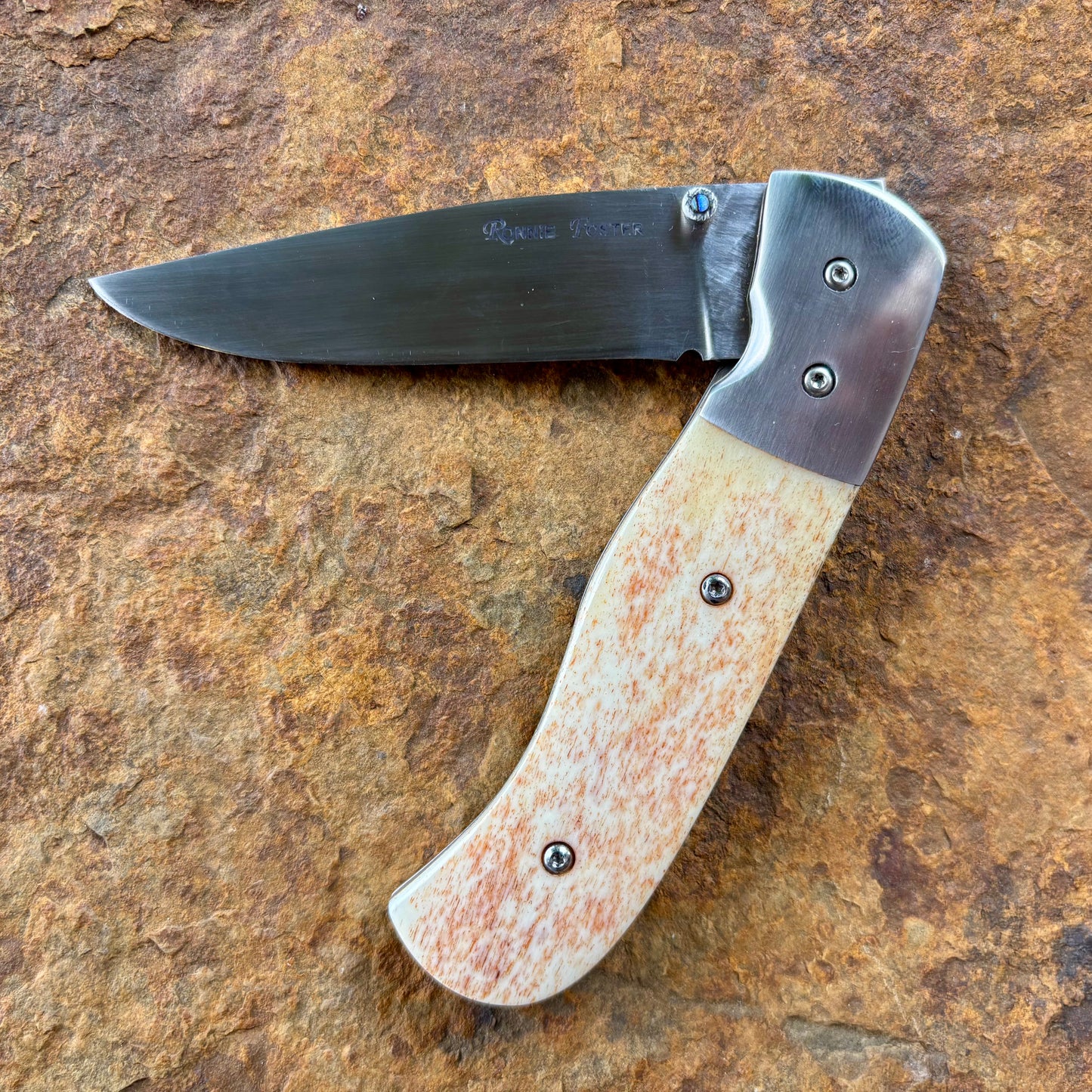 Folder Linerlock in 440C w/ Camel Bone