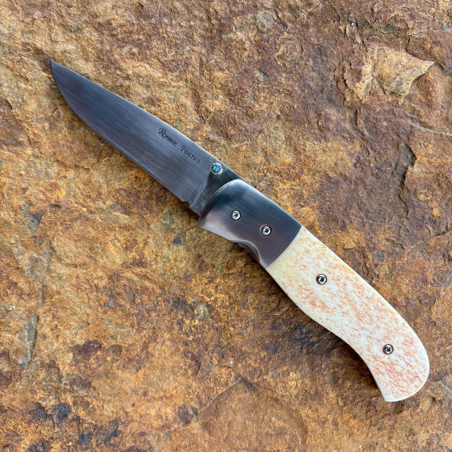 Folder Linerlock in 440C w/ Camel Bone