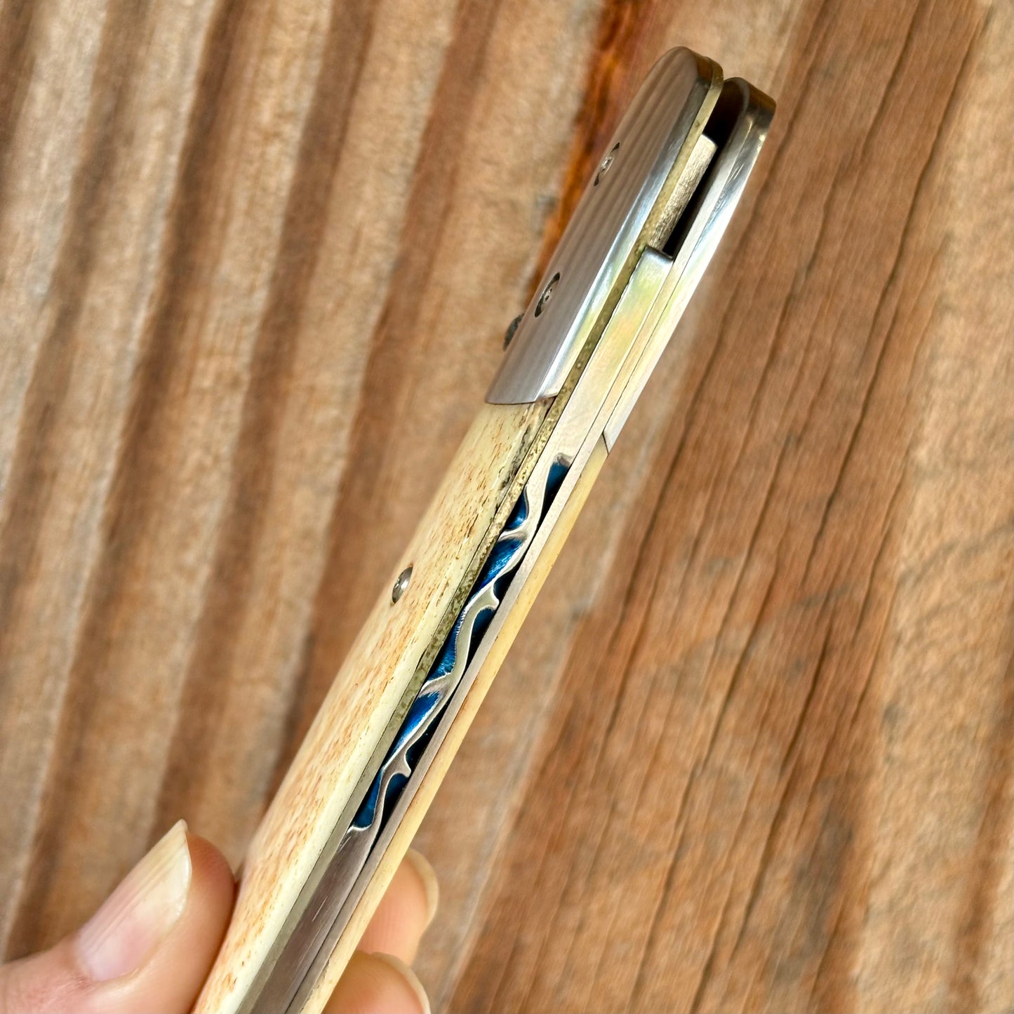 Folder Linerlock in 440C w/ Camel Bone