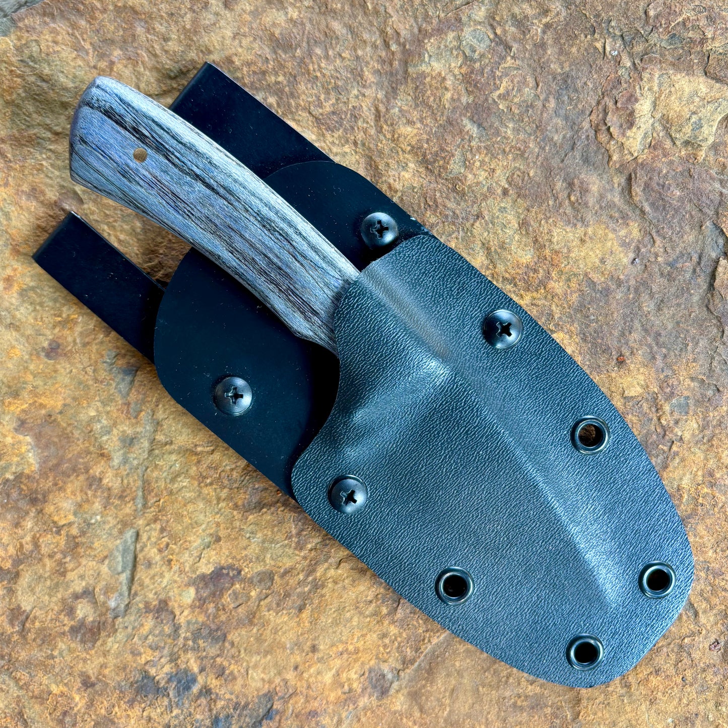 EDC in 1084 w/ Purple Hackberry