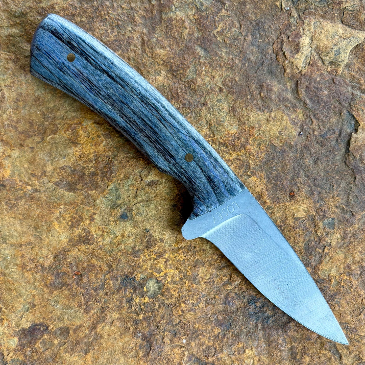 EDC in 1084 w/ Purple Hackberry