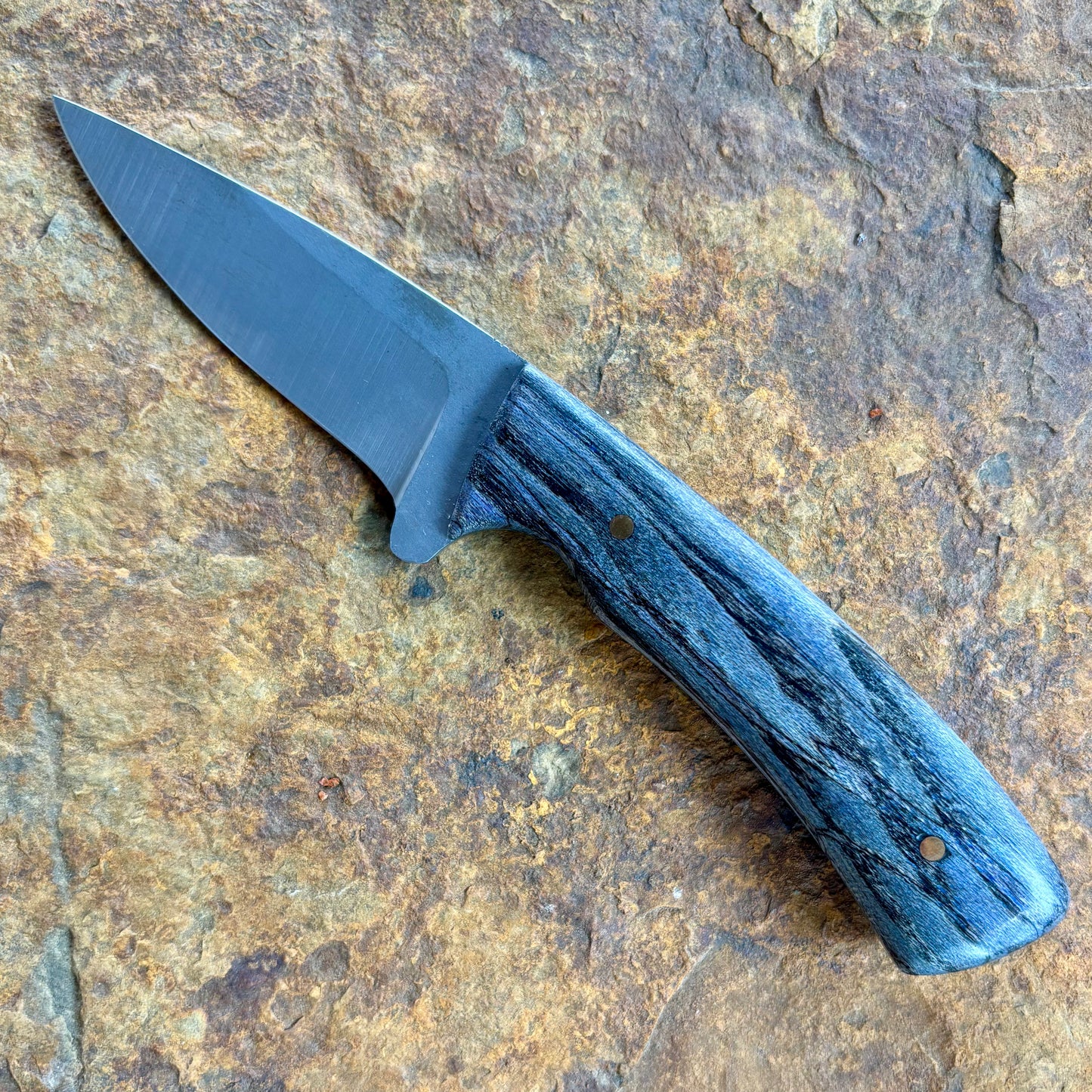 EDC in 1084 w/ Purple Hackberry