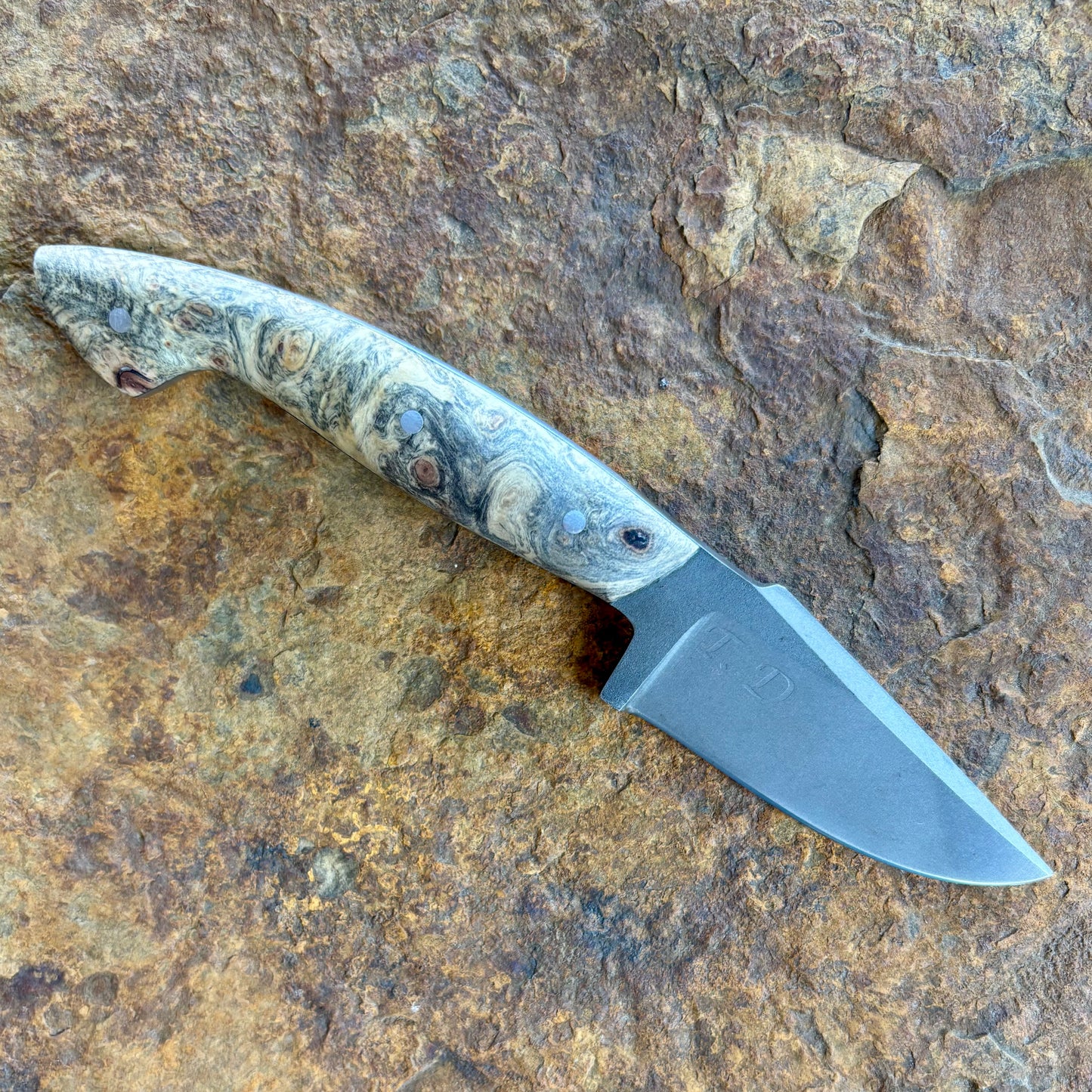 Ridgeback V1 in AEBL w/ Buckeye Burl