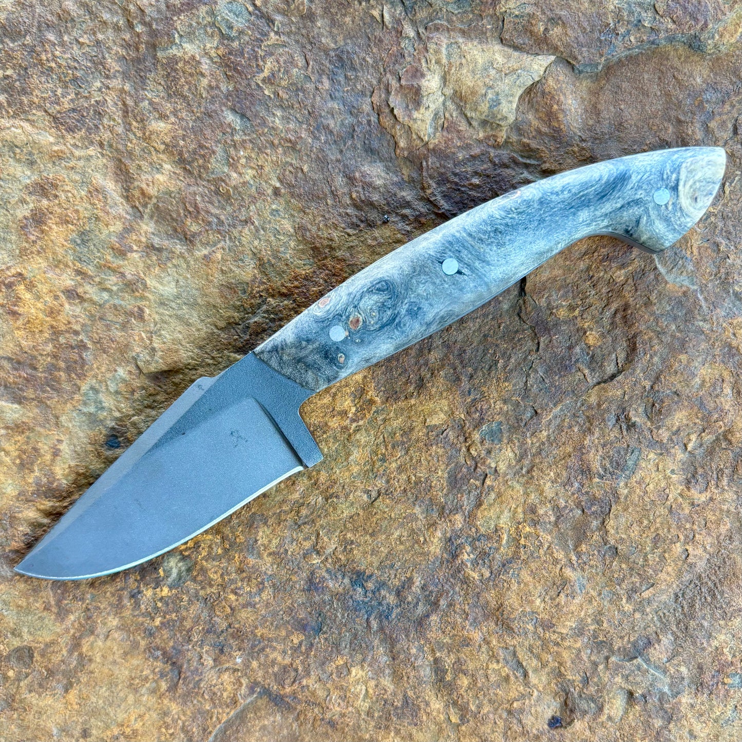 Ridgeback V1 in AEBL w/ Buckeye Burl
