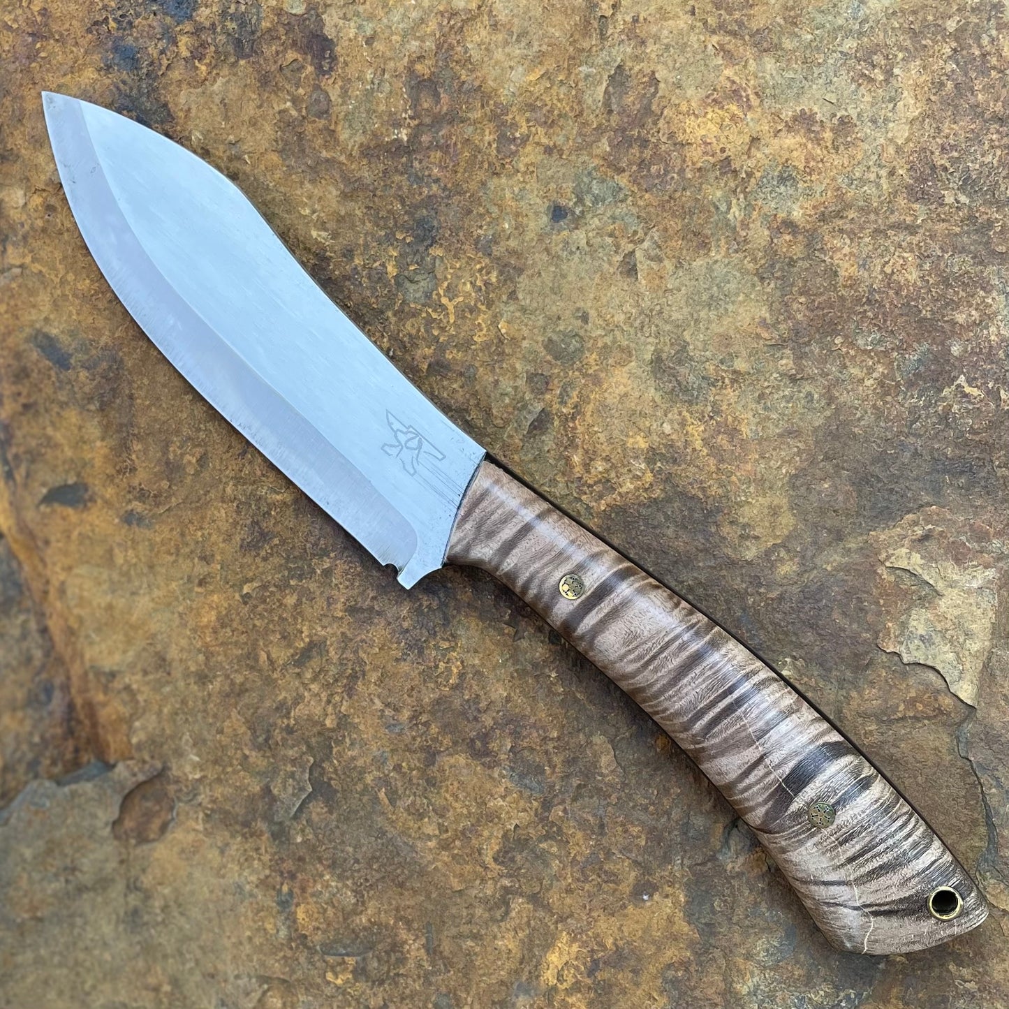 Vulture in 8670 w/ Tiger Maple