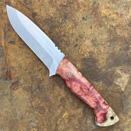 Kestral in Nitro-V w/ Red Willow