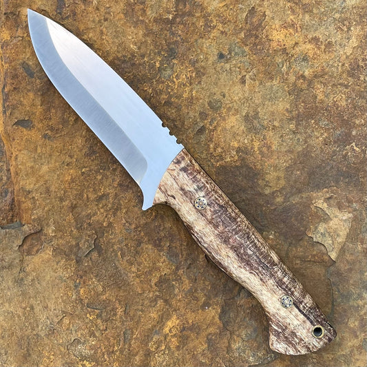Kestral in Nitro-V w/ Spalted Curly Mango