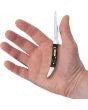 Case Cutlery Small Toothpick Curly Oak